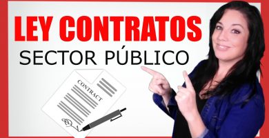 ley de contratos del sector publico