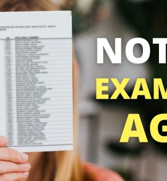 Notas Auxiliar Administrativo del Estado 2023